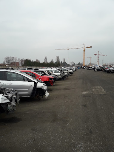 Aperçu des activités de la casse automobile AUTO CASSE THIERRY SCHMIDT située à SESSENHEIM (67770)